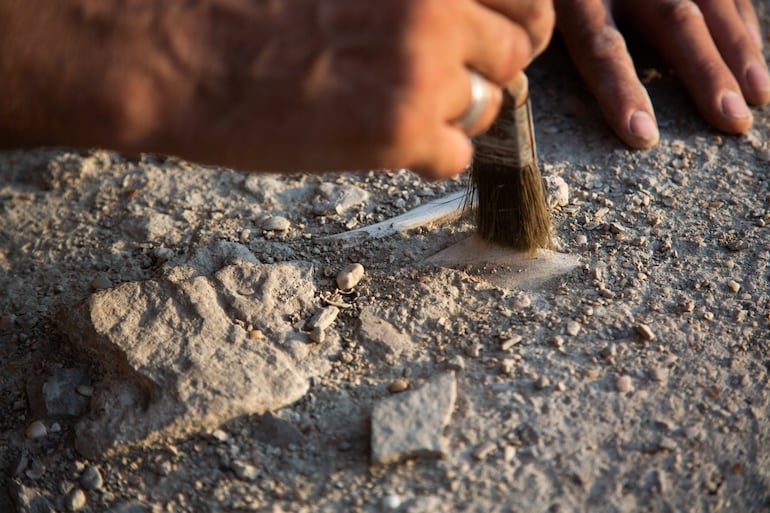 Arqueología.