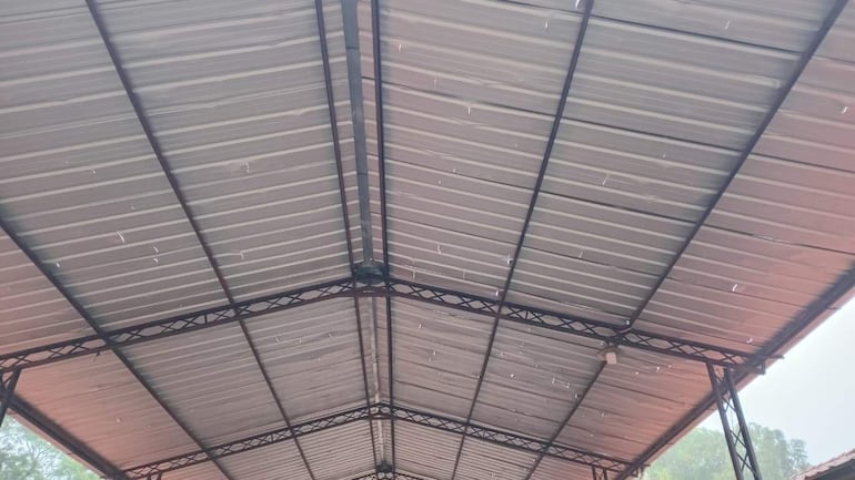 Interior de un tinglado multiuso con techo metálico gris, sin personas presentes en el espacio.