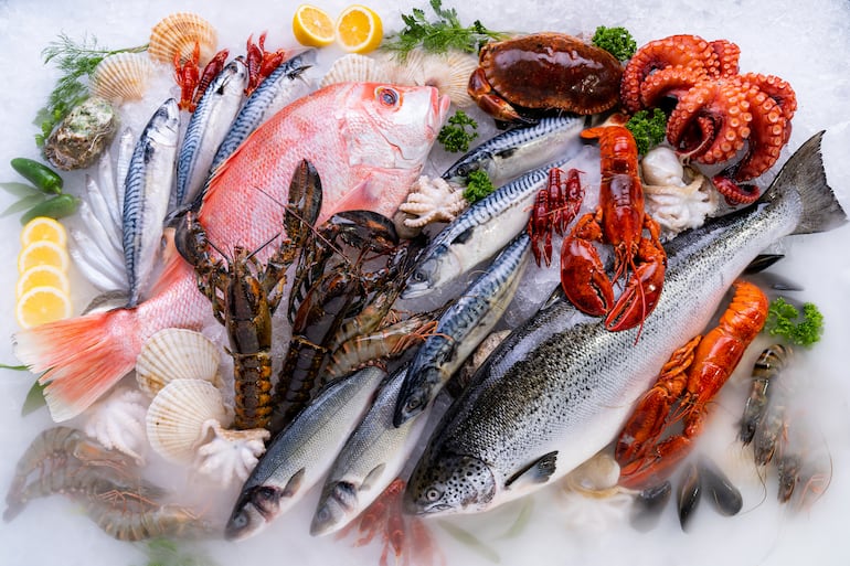 Pescados y mariscos.