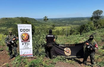 Operación Escudo Guaraní: Senad y CODI destruyen 57.500 kg de marihuana en Alto Verá