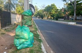 Frente a los domicilios de la calle Luis F, Vache hay varias bolsas de basura sin retirar.