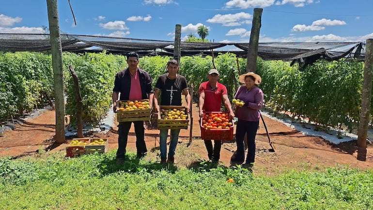 Cuatro personas en cultivo: hombre con camisa negra, hombre con camiseta negra, hombre con camiseta roja y mujer con suéter morado sosteniendo cajas de frutas.