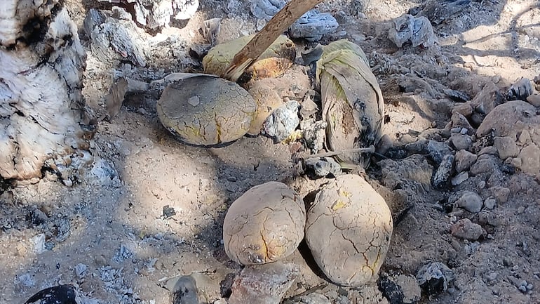 Varias piedras y posibles huevos descansan sobre un terreno arenoso, sin muestras de actividad humana en el entorno natural.