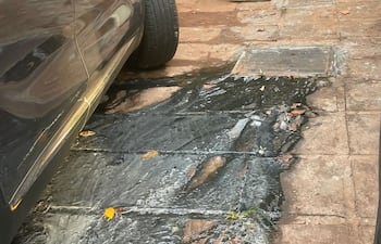 En las inmediaciones del lago de la República se detectó desborde de agua servida frente a un edificio.