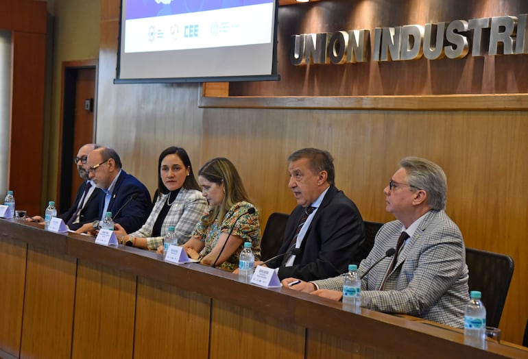 Organización Internacional de Trabajo en la UIP