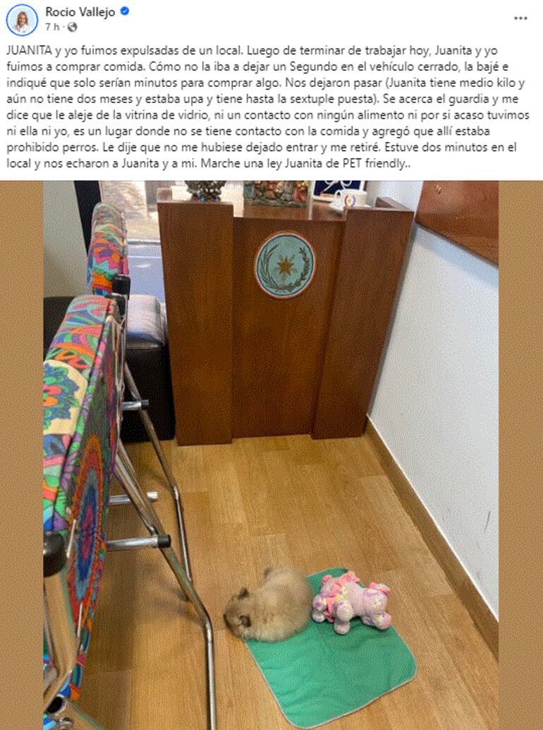 Publicación de la diputada Rocío Vallejos en el que anuncia la iniciativa de ley "Juanita"