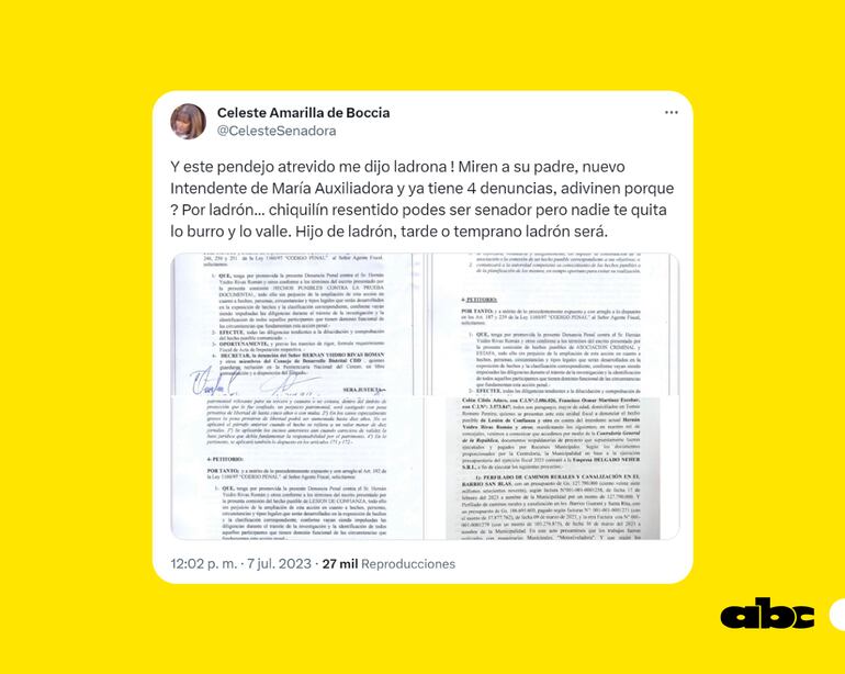 Tuit de la senadora Celeste Amarilla, contra su colega, Hernán Rivas.