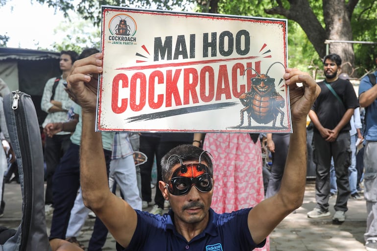 Manifestación del Partido de las Cucarachas.