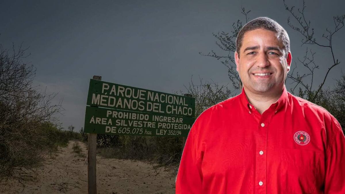Diputado José Rodríguez incumple ley de declaraciones y defiende explotación en parque protegido Médanos