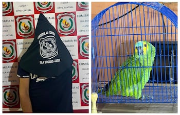 Hombre con capucha negra de espaldas, sosteniendo una jaula azul con loro verde y amarillo en un ambiente iluminado.