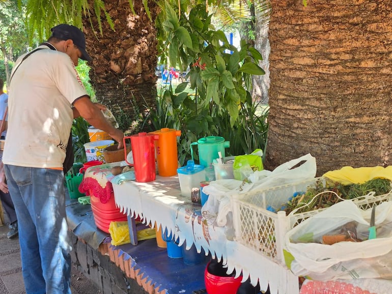 Ruta del Tereré: este sábado ofrecerán tereré gratuito en Encarnación