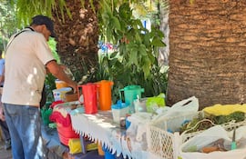 Ruta del Tereré: este sábado ofrecerán tereré gratis en Encarnación