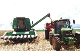 Brasil se mantiene como el principal mercado del maíz paraguayo, con el 91% de participación en el total enviado. ABC Color.