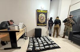 La Senad incauta más de 11 kilos de marihuana tipo skunk en Pilar