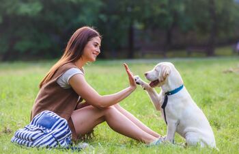 Adiestramiento canino.