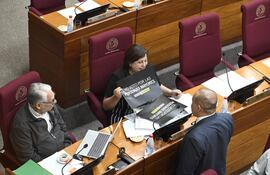 El senador Ignacio Iramain (independiente), Esperanza Martínez (Frente Guasu), quien porta un cartel en apoyo a los adultos mayores, conversan con el presidente del Senado, Basilio "Bachi" Núñez.