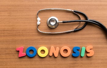 Zoonosis.