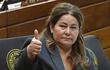 Diputada Cristina Villalba, presidenta de la Comisión de Presupuesto.