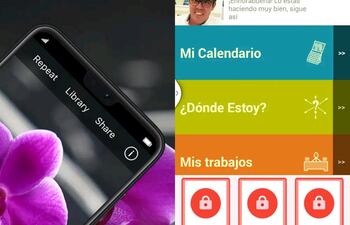 Desde diccionarios para aprender el lenguaje de señas, hasta aplicaciones que describen el entorno para personas con discapacidad visual, diversas plataformas buscan crear una sociedad más inclusiva.