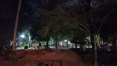 Finalmente cortarán seis árboles en la Plaza Uruguaya