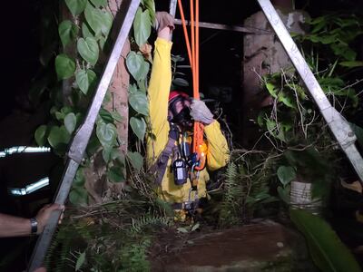 Momento de la intervención del bombero para rescatar a una gata.
