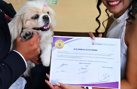 Andrés Alquinga y Diana Tupiza muestran el certificado simbólico de matrimonio con la “firma” de su mascota Luna junto a ella, después de la boda en la oficina del Registro Civil Central de Quito, el 7 de julio de 2026.
