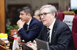 Rafael Filizzola (PDP). (Foto Gentileza del Senado).