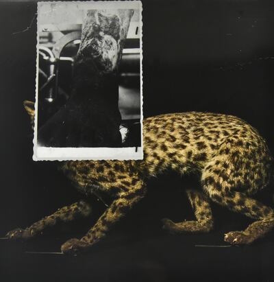 Obra de Alfredo Quiroz.