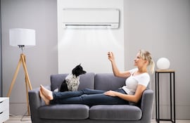 Perro y su dueña frente al aire acondicionado.