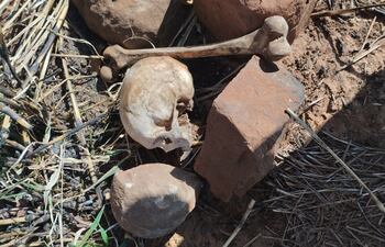 Los restos hallados en el interior de la propiedad rural ubicada en la colonia Estrella, a unos 70 kilómetros de Pedro Juan Caballero.