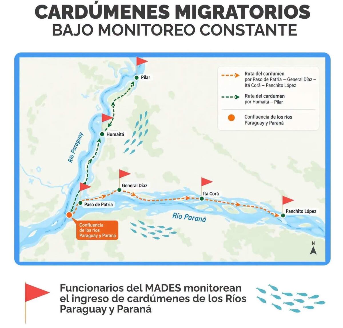 Masiva llegada de peces: Mades intensifica fiscalización en los ríos Paraguay y Paraná