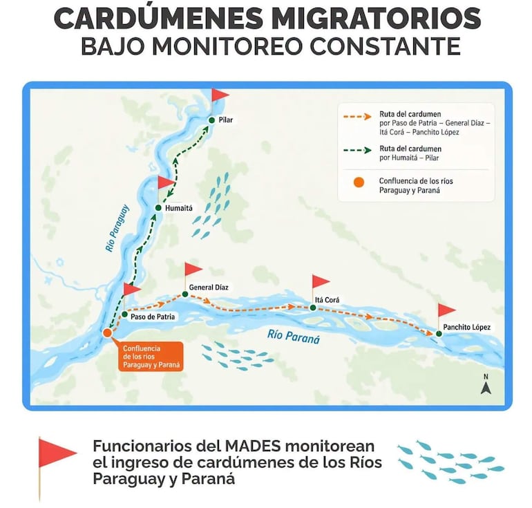 Mapa que ilustra rutas migratorias de cardúmenes, con marcadores en Pilar, Humaitá, y otros lugares.