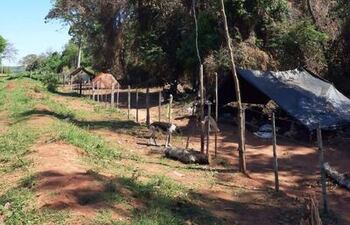 ARP pide mejor actuar a la Fiscalía