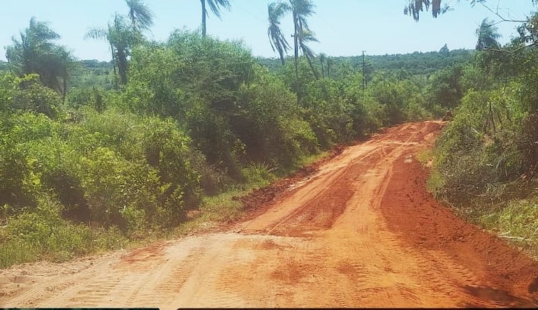 El camino terraplenado de la compañía Rincón ya se encuentra habilitado para el tránsito.