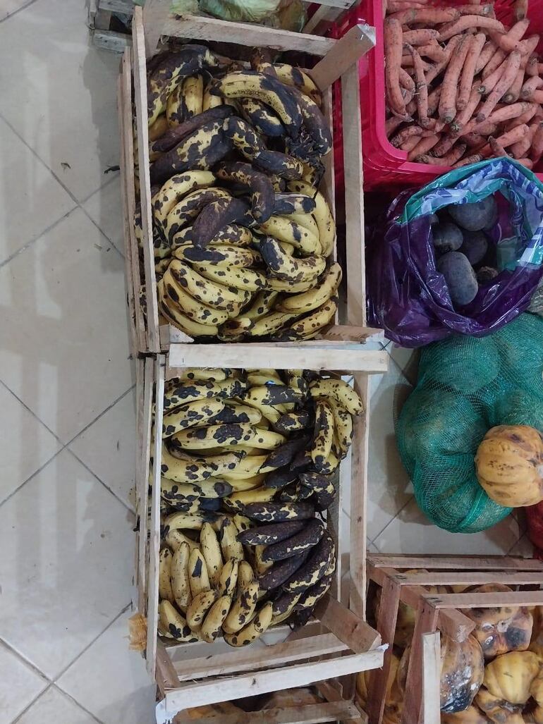 Así se encontraban varias frutas y verduras antes de la preparación del almuerzo escolar en la mañana del martes.