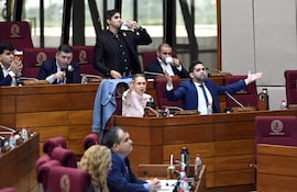 Los diputados Rocío Vallejo y Raúl Benítez protestan efusivamente durante la sesión de hoy en Diputados.
