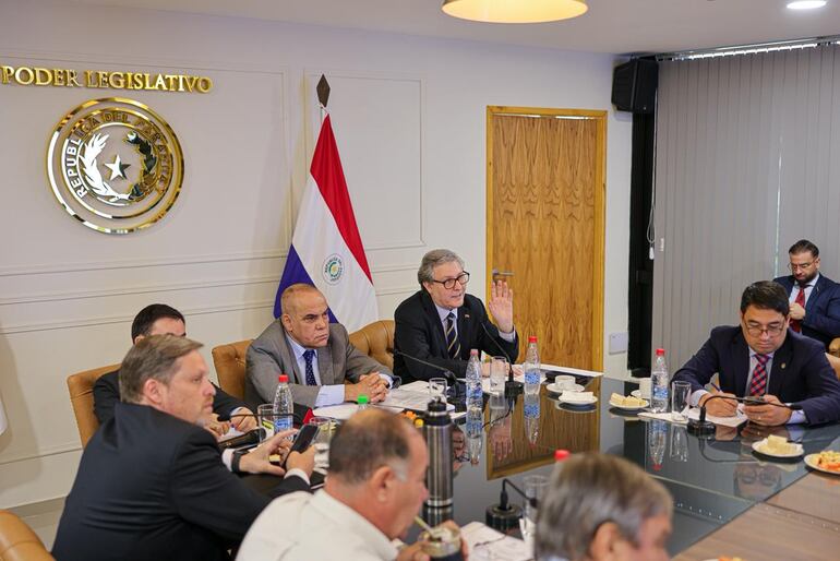 Rafael Filizzola (PDP), senador.