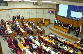 Sesión de la Cámara de Senadores. (Foto Gentileza)