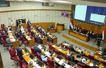 Sesión de la Cámara de Senadores. (Foto Gentileza)