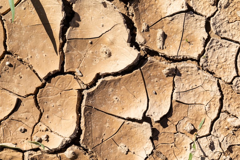 Concepto de sequía y desertificación.