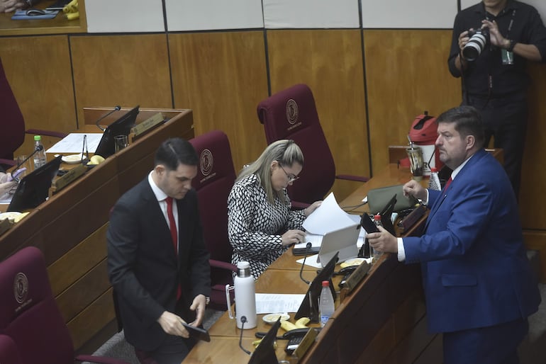 Cámara de Senadores.  