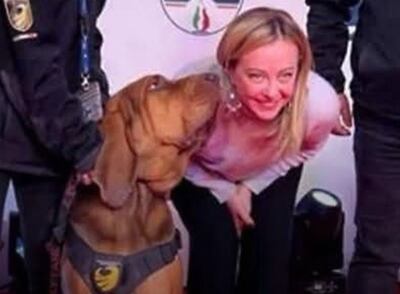 El perro Bruno y Giorgia Meloni.