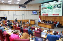 La rectora de la UNA, Zully Vera, planteó a la Comisión Bicameral de Presupuesto del Congreso un aumento presupuestario de US$ 45 millones.