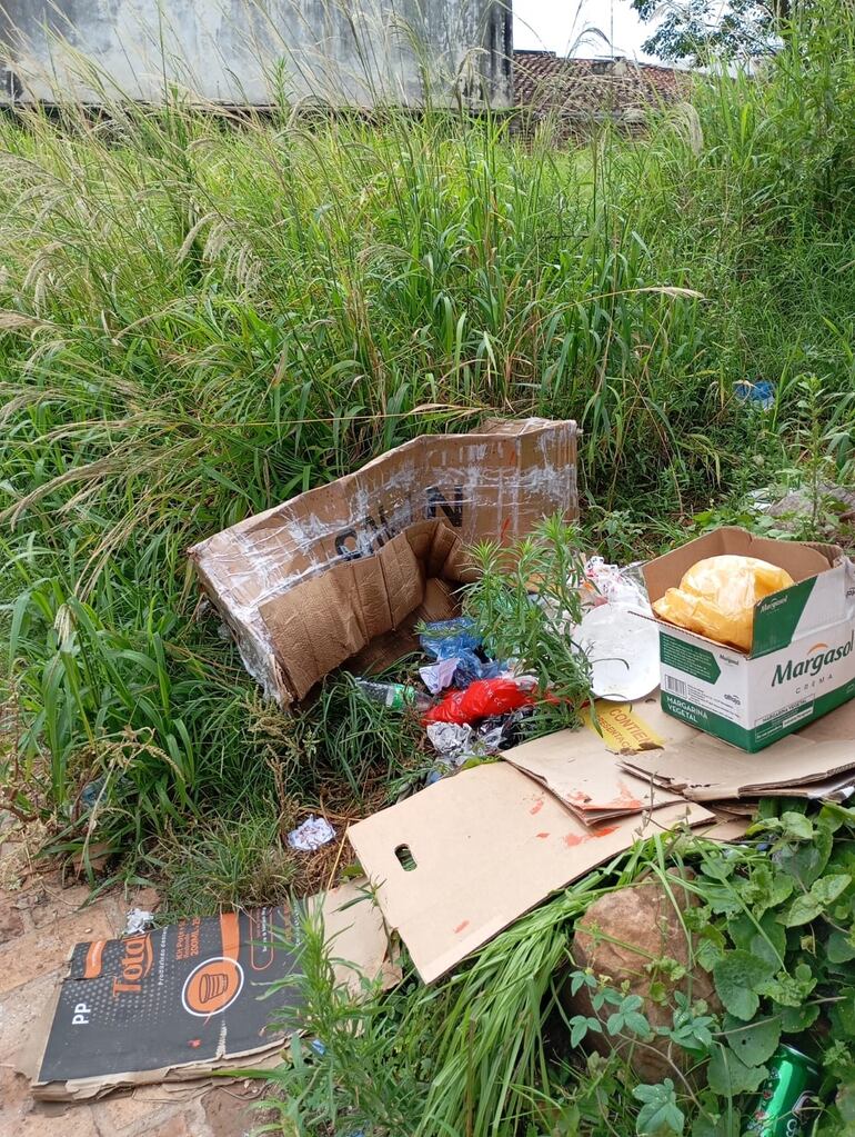 En un baldío del casco urbano se arrojan basuras sobre la calle Capitán Rogelio Santacruz, casi en inmediaciones de la ruta PY01.