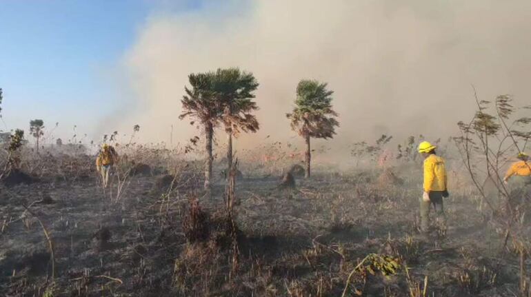 Las ráfagas de viento obstaculizaron bastante las tareas ayer.