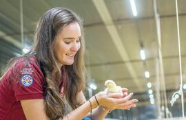 Pechugón es una empresa con visión de futuro, cuya apuesta por la excelencia ya se saborea en 25 países.