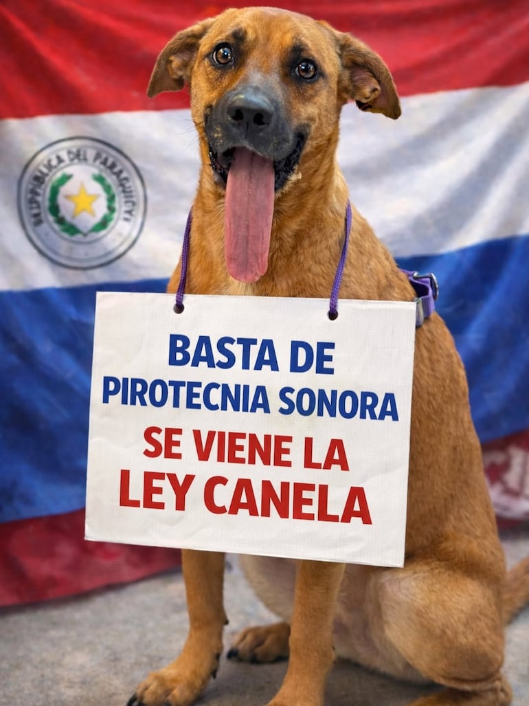 Imagen de la campaña por la aprobación de la "Ley Canela"