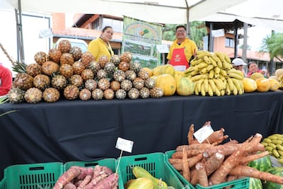 Feria de la agricultura.