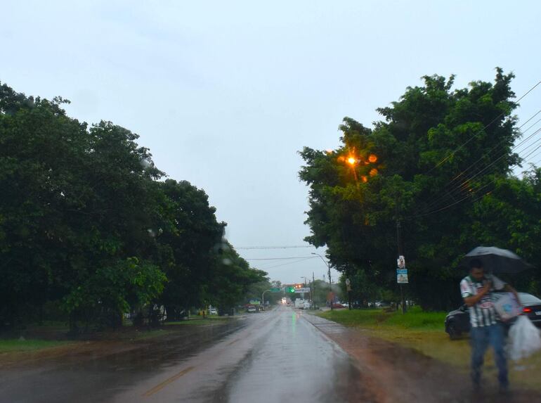 La lluvia caída en la zona de Paraguarí beneficia a la agricultura familiar, aseguró el Ing. Agr. Adrián Jara.