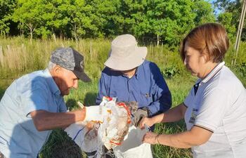 Voluntarios recogen basura del costado del tramo Carapeguá-Acahay.